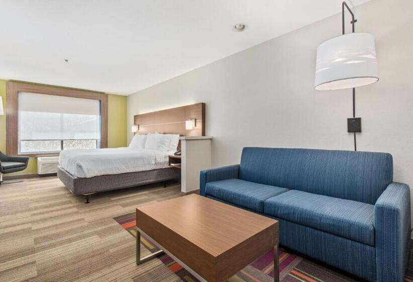 غرفة قياسية سرير كينج, Holiday Inn Express West Valley City, An Ihg