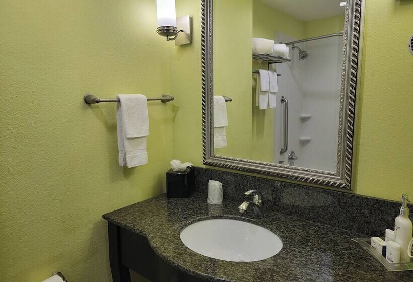 스탠다드 룸, Holiday Inn Garland, An Ihg