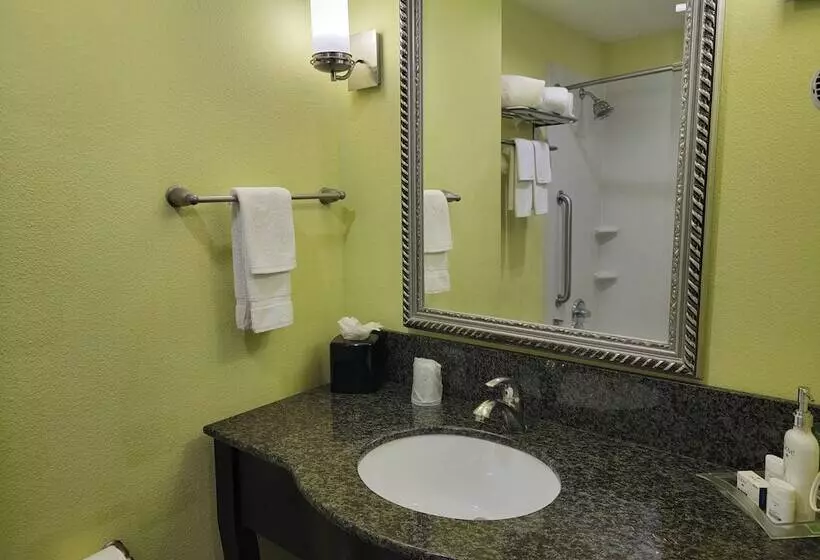 スタンダードルーム, Holiday Inn Garland, An Ihg
