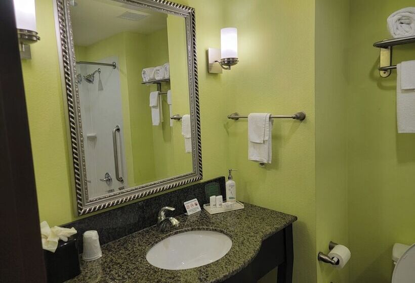 适合残疾人使用的标准间, Holiday Inn Garland, An Ihg