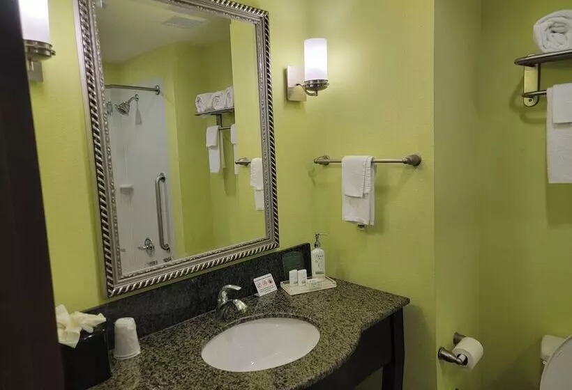 身障者適用スタンダードルーム, Holiday Inn Garland, An Ihg