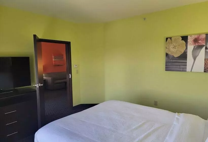 身障者適用スタンダードルーム, Holiday Inn Garland, An Ihg