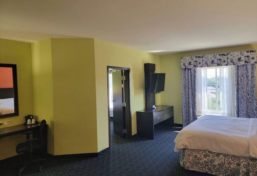 适合残疾人使用的标准间, Holiday Inn Garland, An Ihg