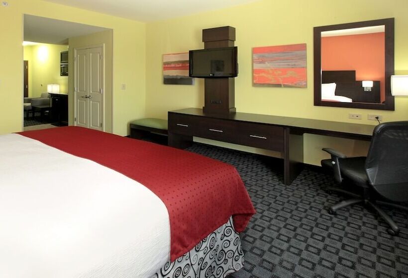 适合残疾人使用的标准间, Holiday Inn Garland, An Ihg