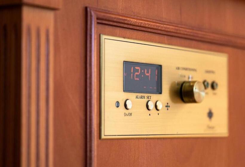 ダブルベッドのベーシックルーム, Plaza Hotel Premier