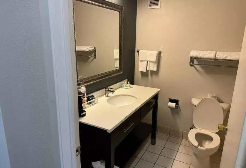 キングサイズベッドのスタンダードルーム, Quality Inn &  Suites