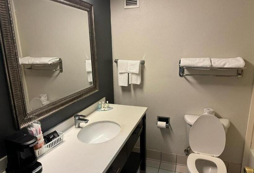 Стандартный Номер Кровать Кинг, Quality Inn & Suites