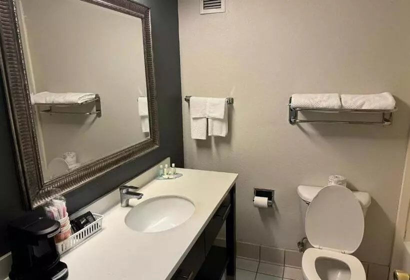 キングサイズベッドのスタンダードルーム, Quality Inn &  Suites