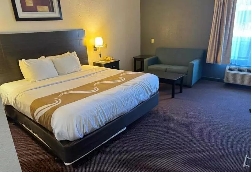 キングサイズベッドのスタンダードルーム, Quality Inn &  Suites