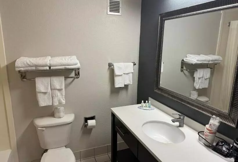 スタンダードルーム, Quality Inn &  Suites