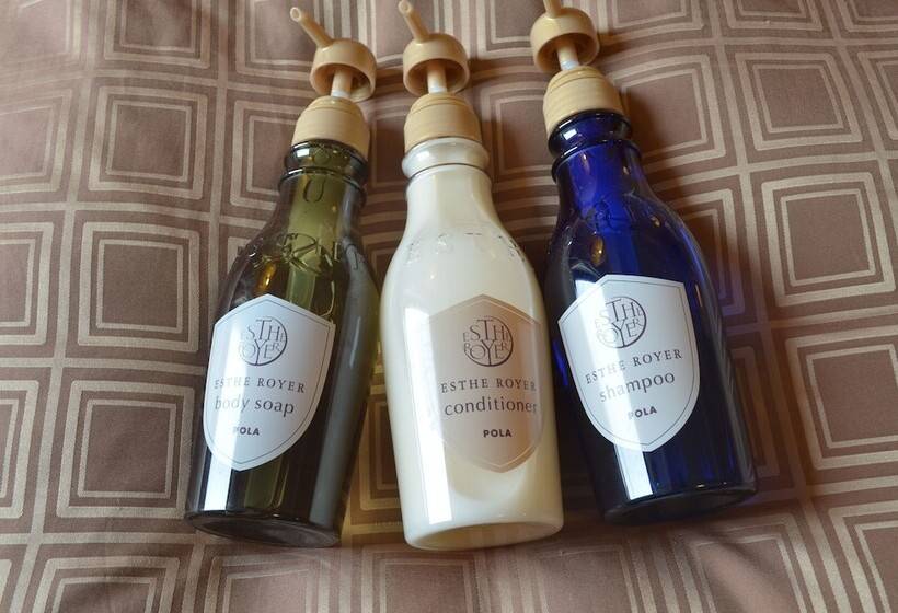 غرفة قياسية فردية, Sunroute Sapporo