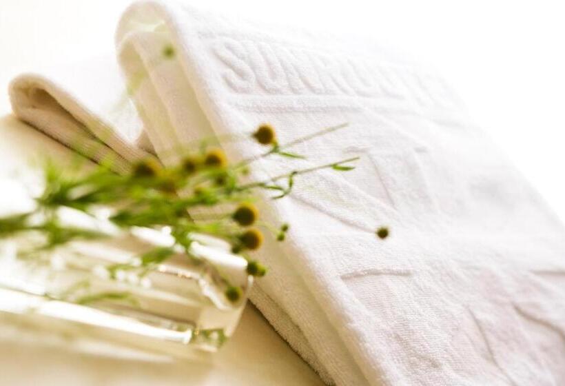 غرفة قياسية, Sunroute Sapporo