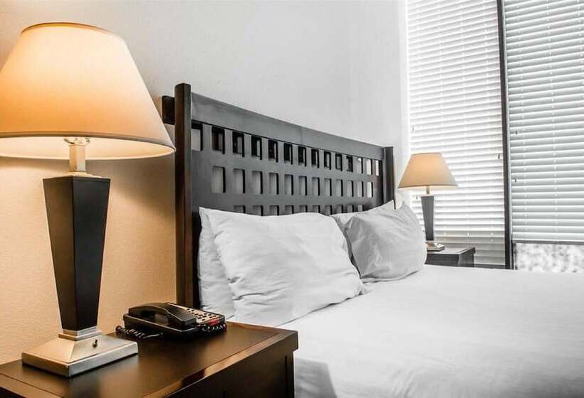 Suite, Sunchase Inn & Suites