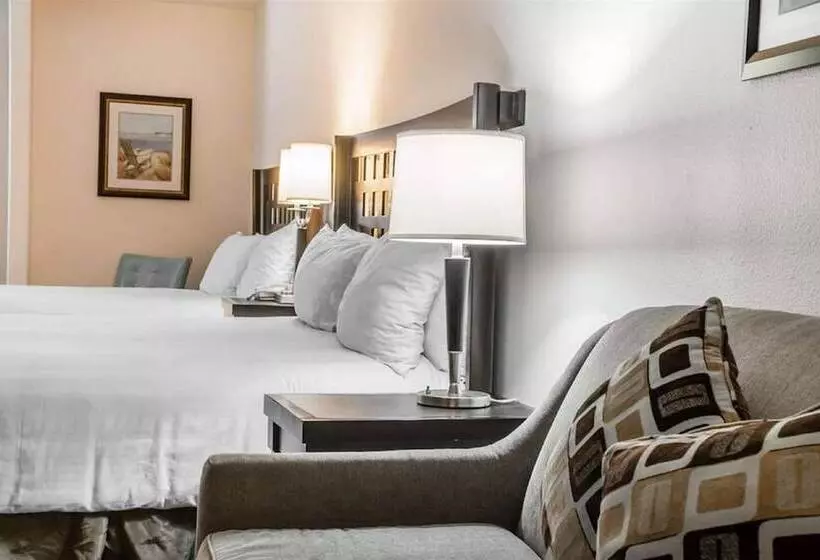 キングサイズベッドのスイートルーム, Sunchase Inn & Suites