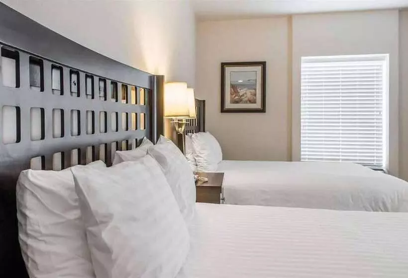 キングサイズベッドのスイートルーム, Sunchase Inn & Suites