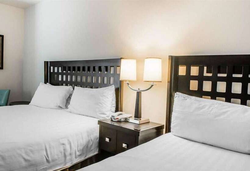 جناح, Sunchase Inn & Suites