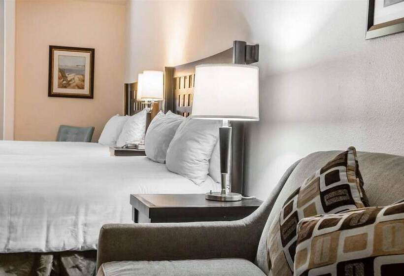 Suite, Sunchase Inn & Suites
