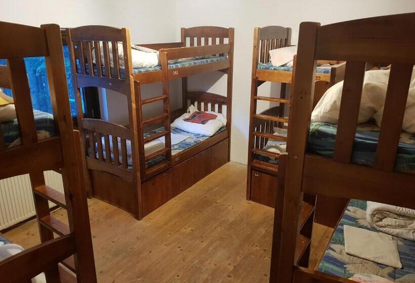 Bed in Shared Room with Shared Bathroom, Good Bye Lenin Hostel Zakopane