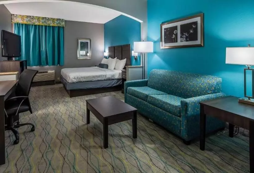 Sviitti King-vuode, Best Western Executive Inn Corsicana