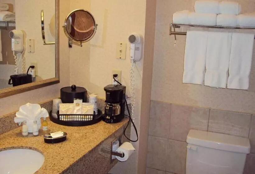 Sviitti Liikuntarajoitteisille, Best Western Executive Inn Corsicana
