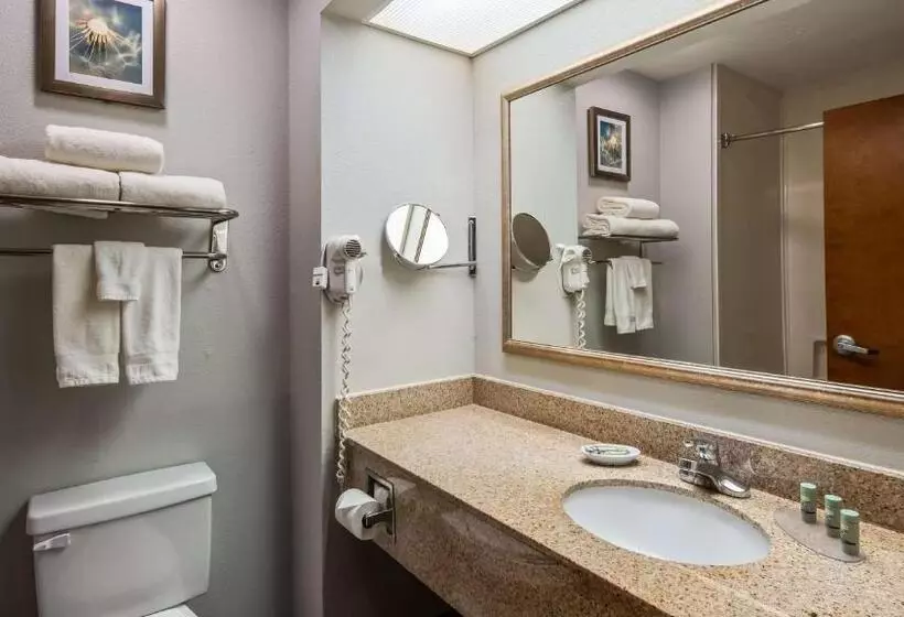 Sviitti Liikuntarajoitteisille, Best Western Executive Inn Corsicana