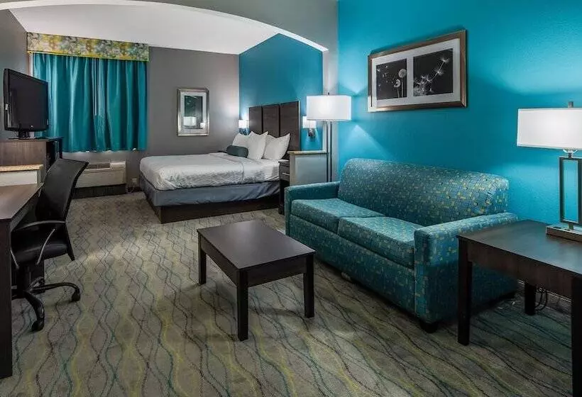Sviitti Liikuntarajoitteisille, Best Western Executive Inn Corsicana