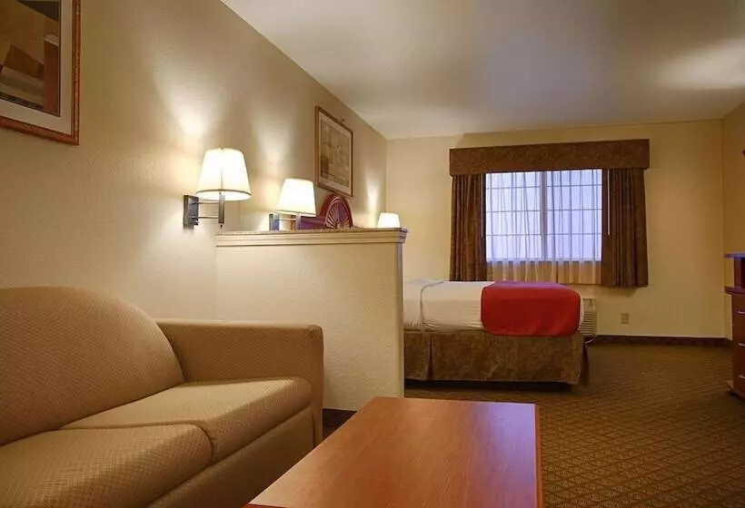 スイート, Best Western Inn & Suites   Henrietta