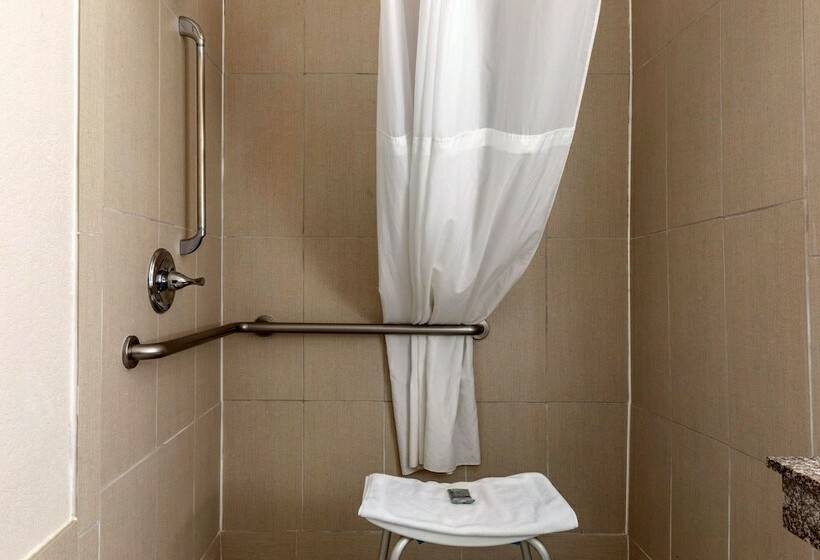 장애인을 위한 스위트, Best Western Palo Duro Canyon Inn & Suites