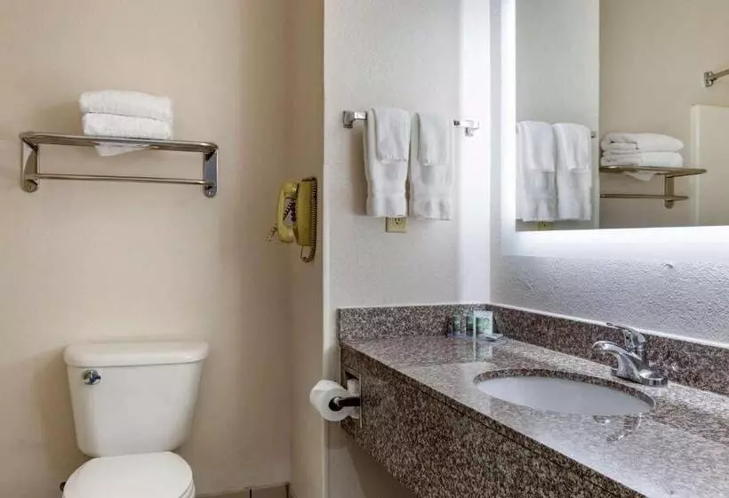 Sviitti King-vuode, Best Western Palo Duro Canyon Inn & Suites