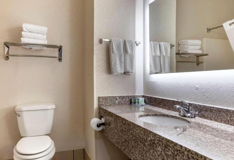 스탠다드 룸, Best Western Palo Duro Canyon Inn & Suites