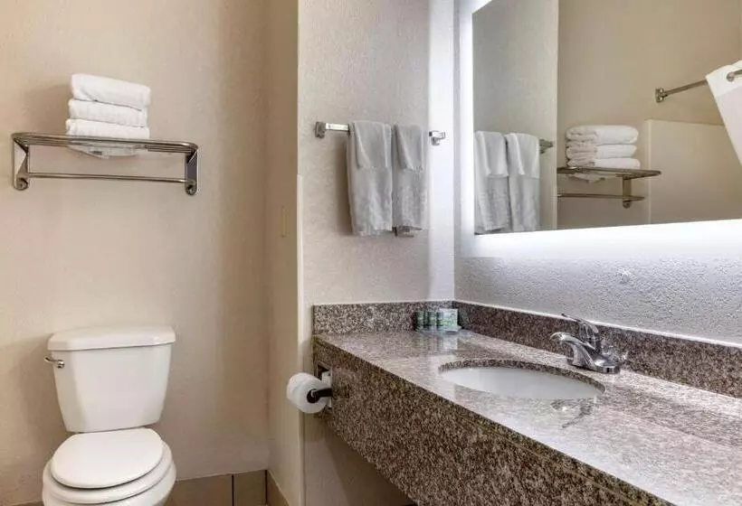 Standard-huone, Best Western Palo Duro Canyon Inn & Suites