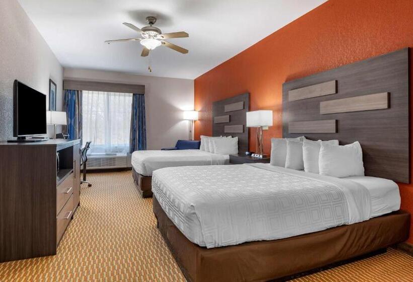 스탠다드 룸, Best Western Palo Duro Canyon Inn & Suites