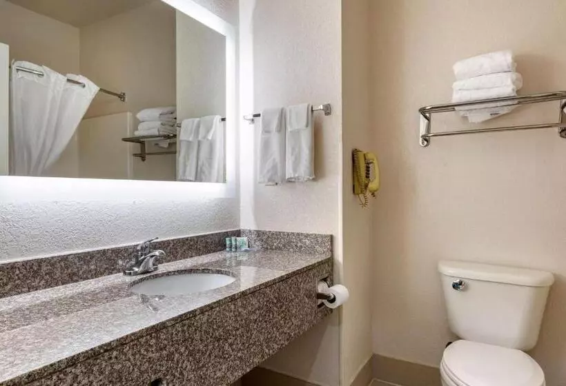 Sviitti, Best Western Palo Duro Canyon Inn & Suites