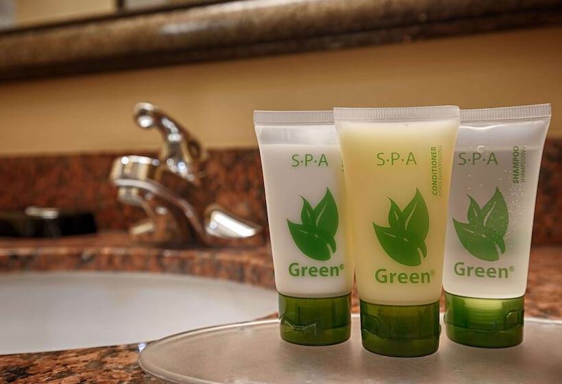 Люкс Адаптированный для Инвалидов, Best Western Plus Manvel Inn & Suites