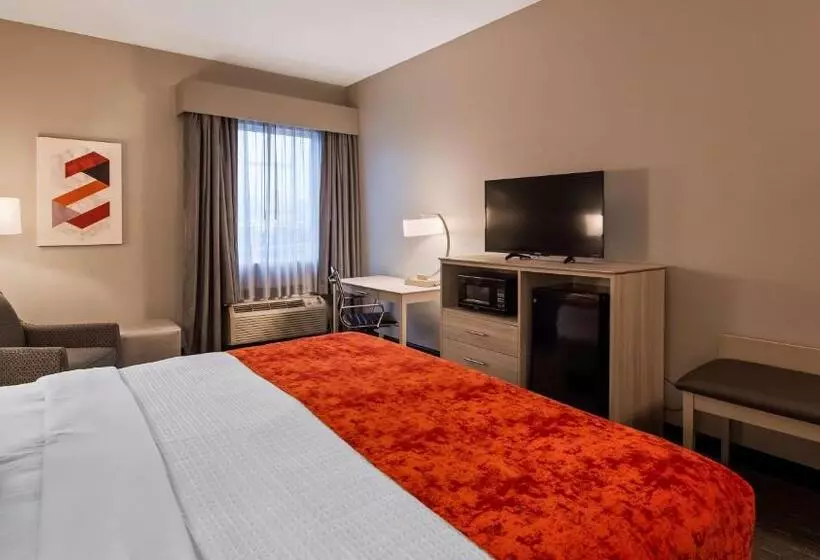 身障者適用キングサイズベッドルーム, Best Western Plus New Cumberland
