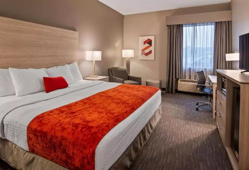 身障者適用キングサイズベッドルーム, Best Western Plus New Cumberland