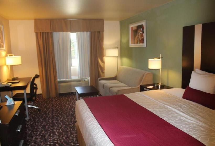 غرفة قياسية سرير كينج, Best Western Plus The Woodlands