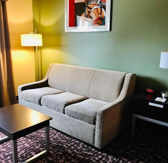 غرفة قياسية سرير كينج, Best Western Plus The Woodlands