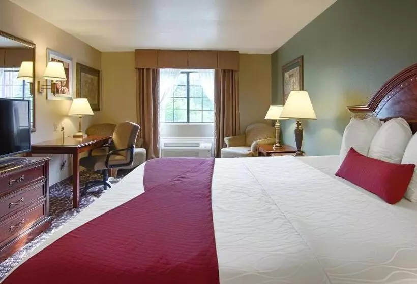 Standard-huone King-vuode, Best Western Plus The Woodlands