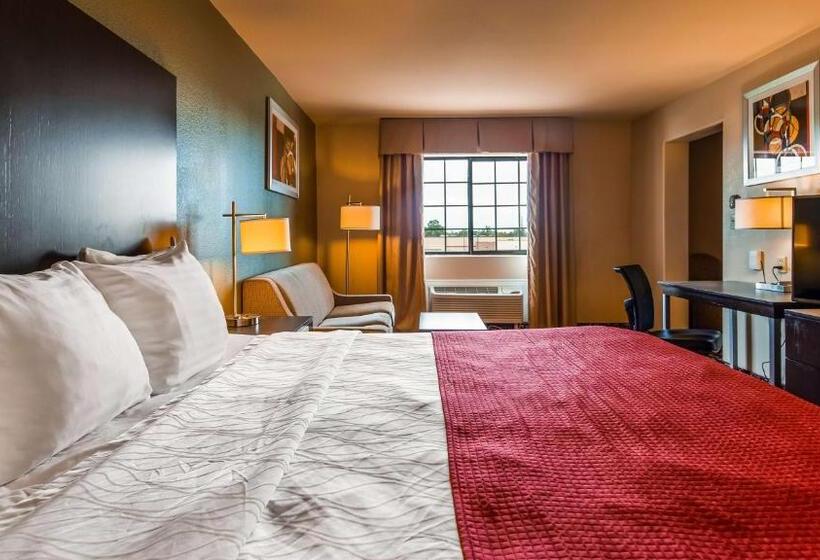 غرفة قياسية سرير كينج, Best Western Plus The Woodlands