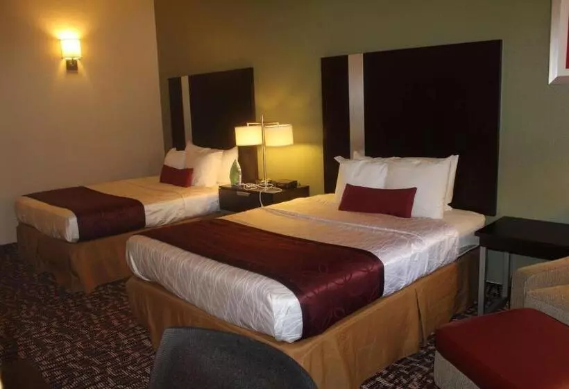 Standard-huone, Best Western Plus The Woodlands