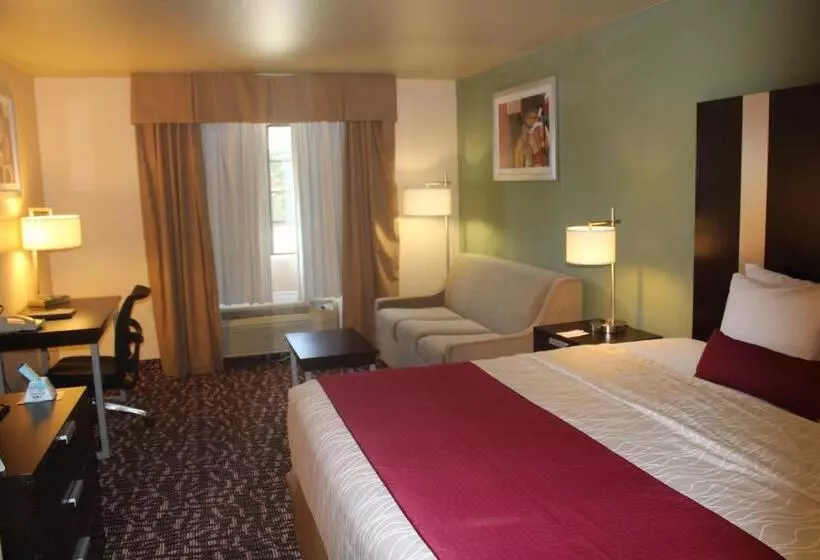 Sviitti King-vuode, Best Western Plus The Woodlands