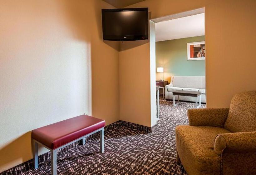 جناح سرير كينج, Best Western Plus The Woodlands