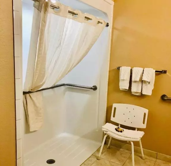 Standard-invahuone, Best Western Plus The Woodlands