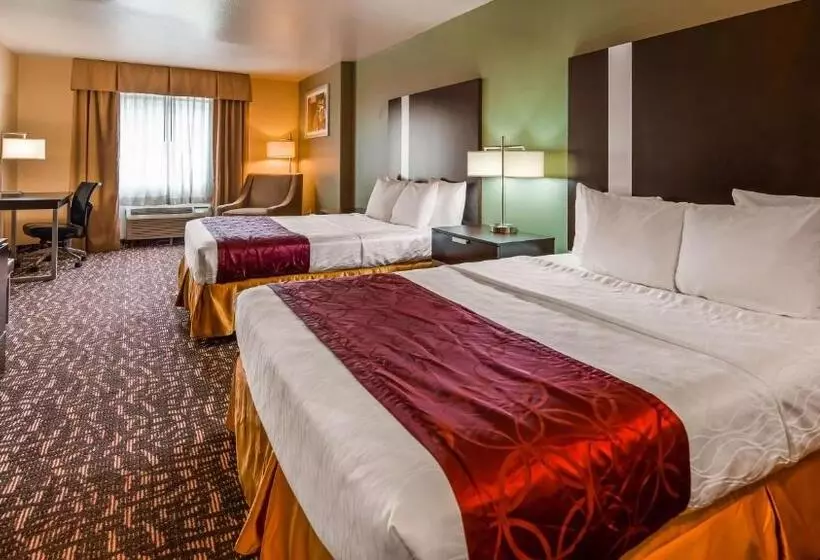 Standard-invahuone, Best Western Plus The Woodlands