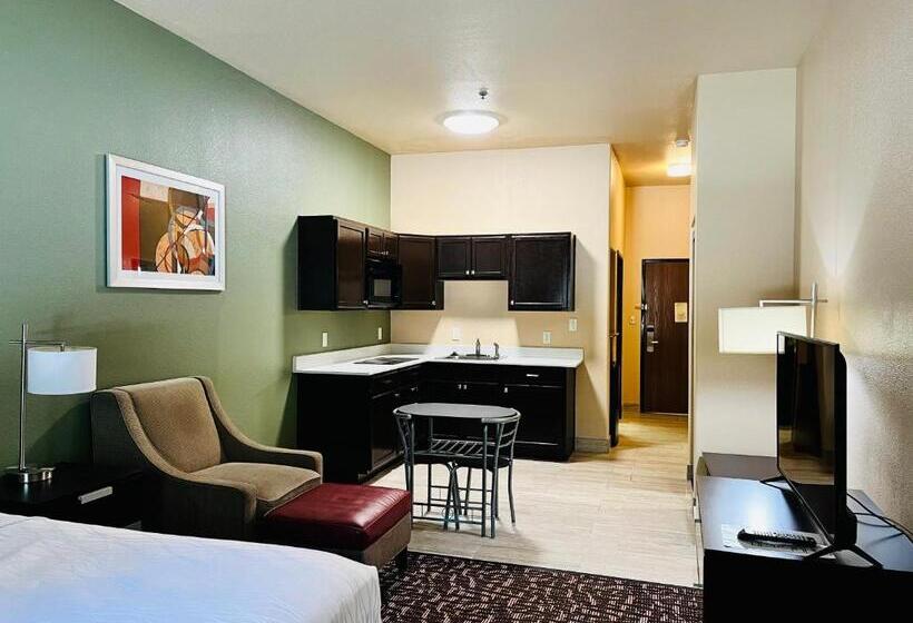 غرفة قياسية سرير كينج, Best Western Plus The Woodlands