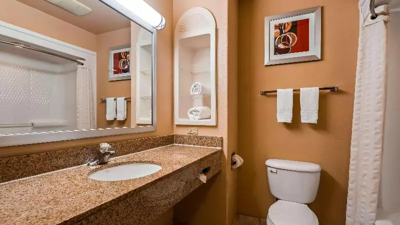 Sviitti King-vuode, Best Western Plus The Woodlands