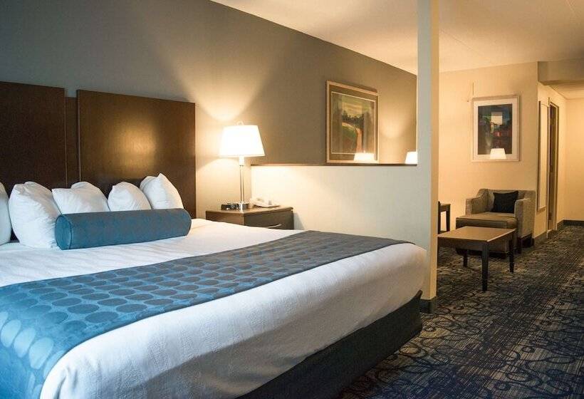 Люкс, Best Western Plus Waynesboro