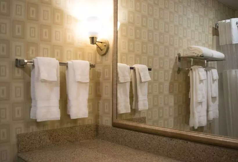 身障者適用スイートルーム, Best Western Plus Waynesboro
