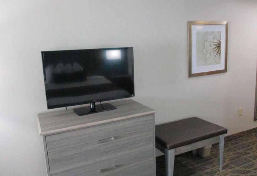 غرفة قياسية سرير كينج, Best Western Presidential Hotel & Suites